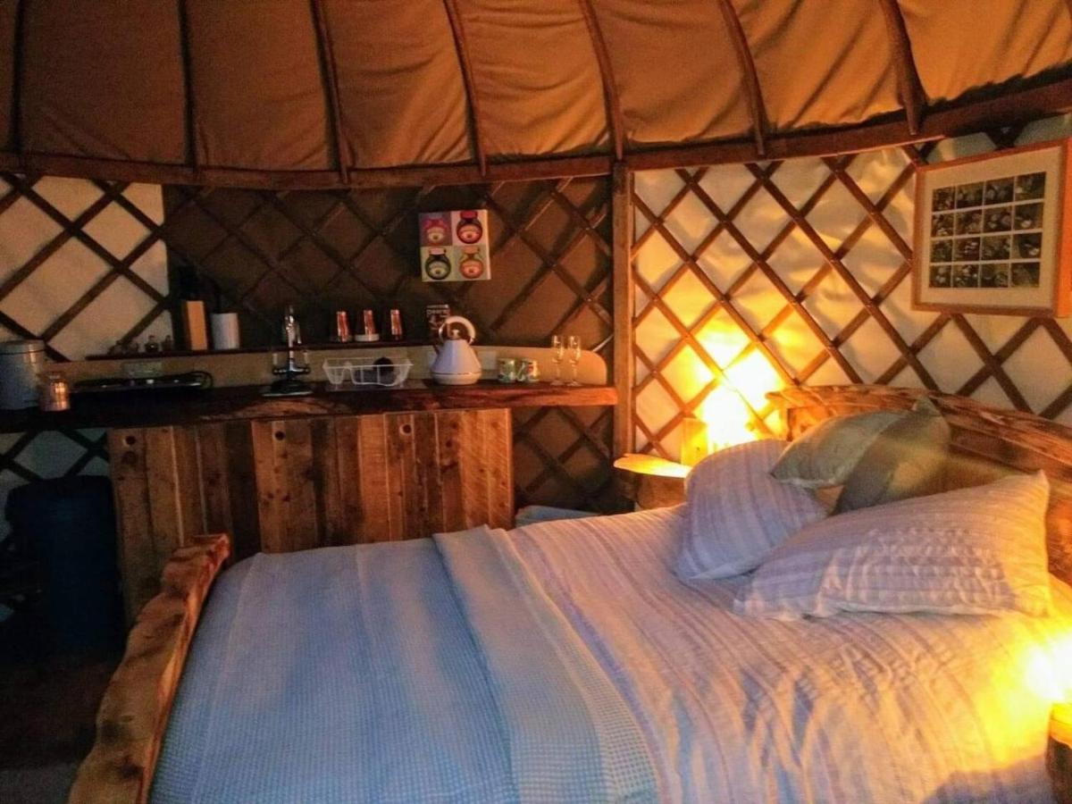 فيلا Bembridge Harbour Yurt - Log Burner - Wifi المظهر الخارجي الصورة
